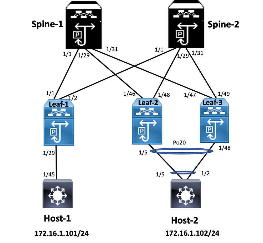 Netwerkdiagram voor vPC Fabric Peering configureren