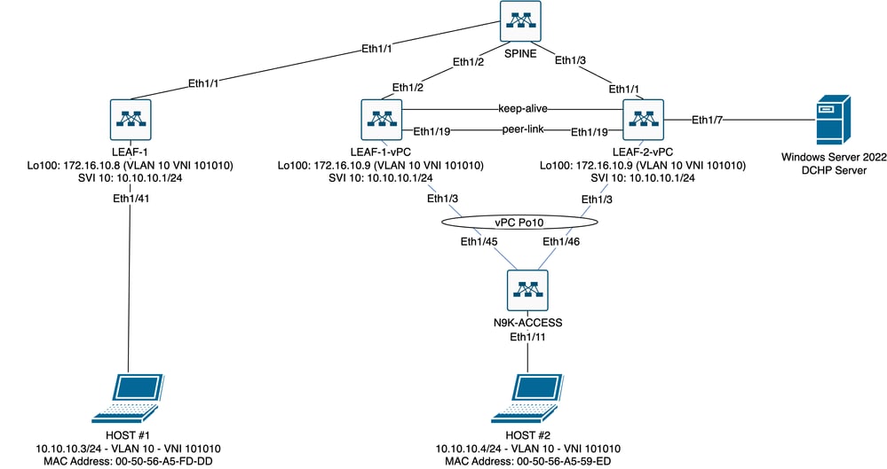 실험실의 VxLAN 패브릭 다이어그램