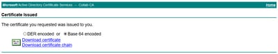 Select Base 64 Encoded and Download Certificate