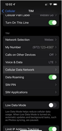 Enable Data Roaming