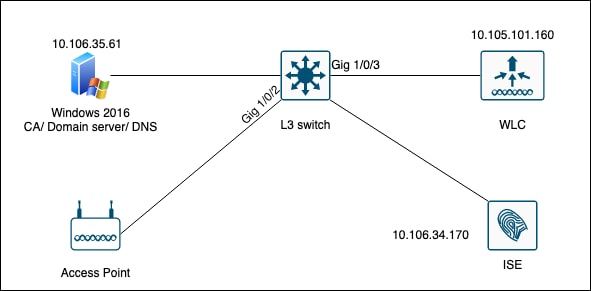 Network Topology