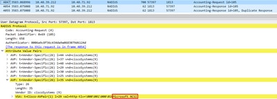 accounting packet capture http basic