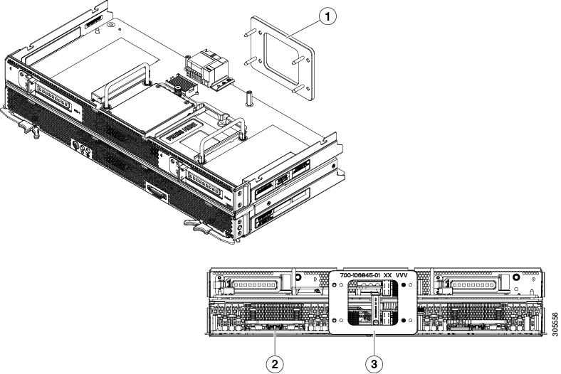 305556.jpg