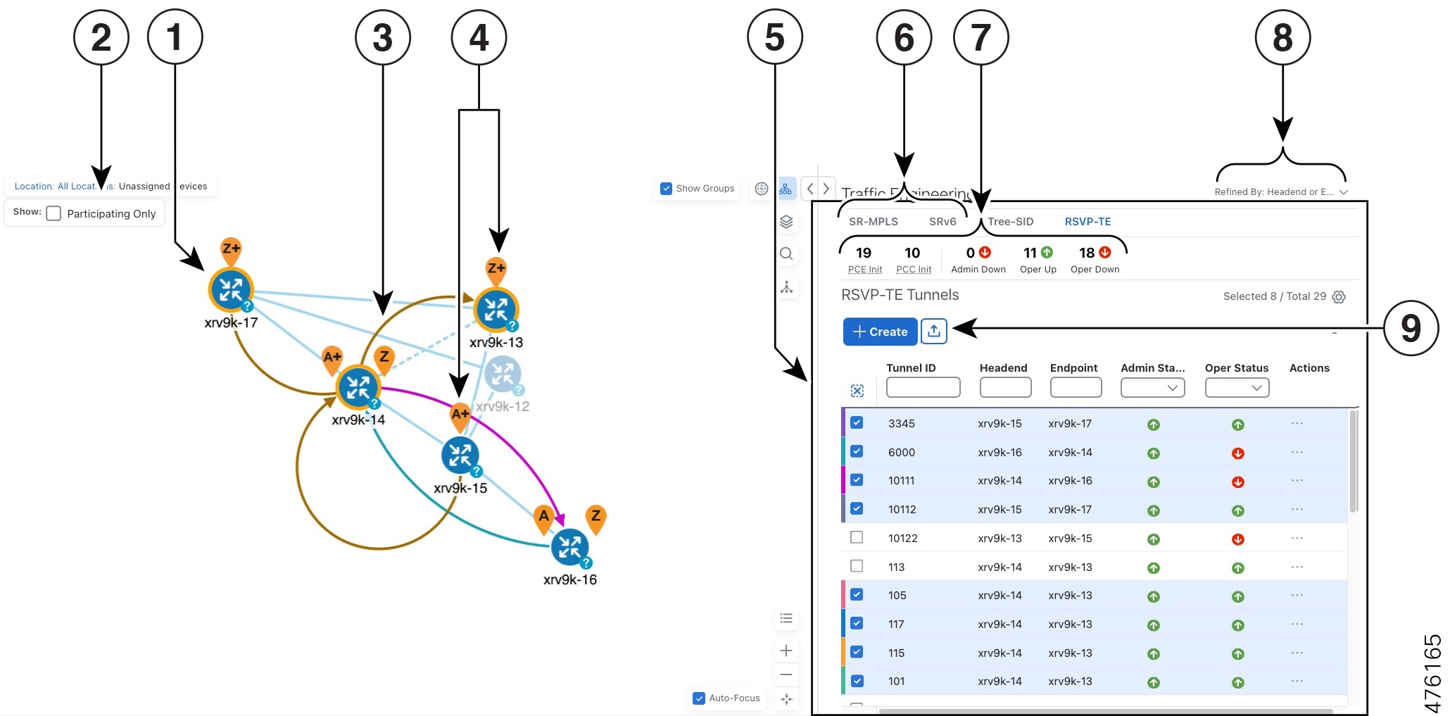 Traffic Engineering UI - RSVP-TE Tunnels