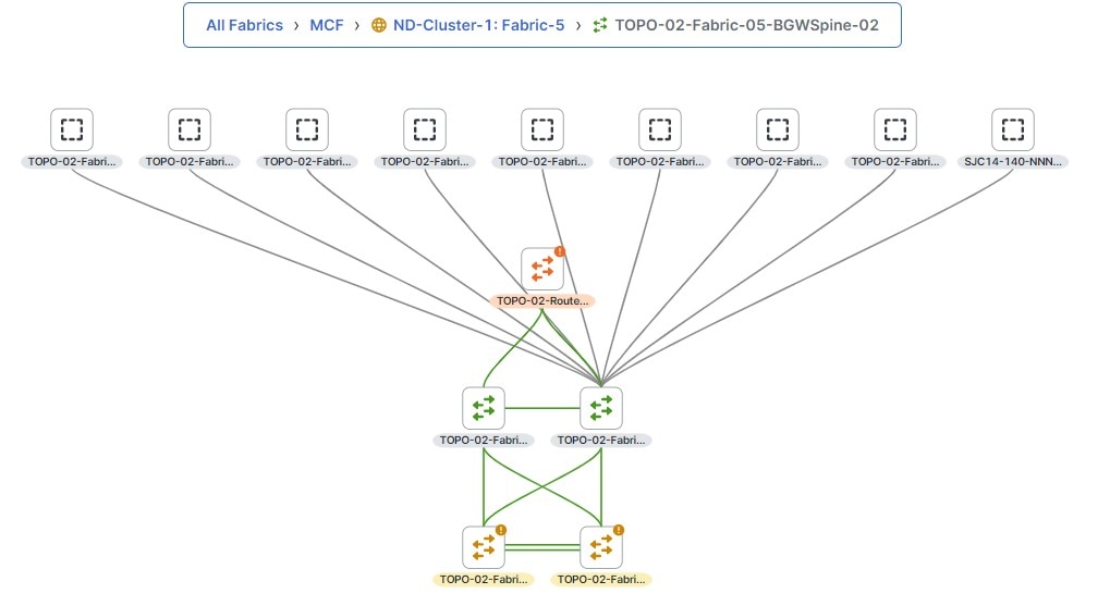 one-manage-topology-individ-fabric-level.jpg